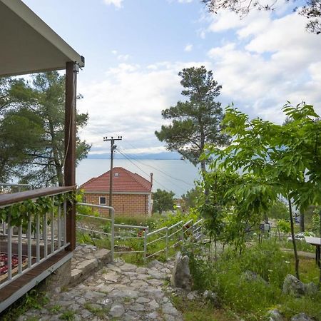 Villa Among The Trees Široka Esterno foto