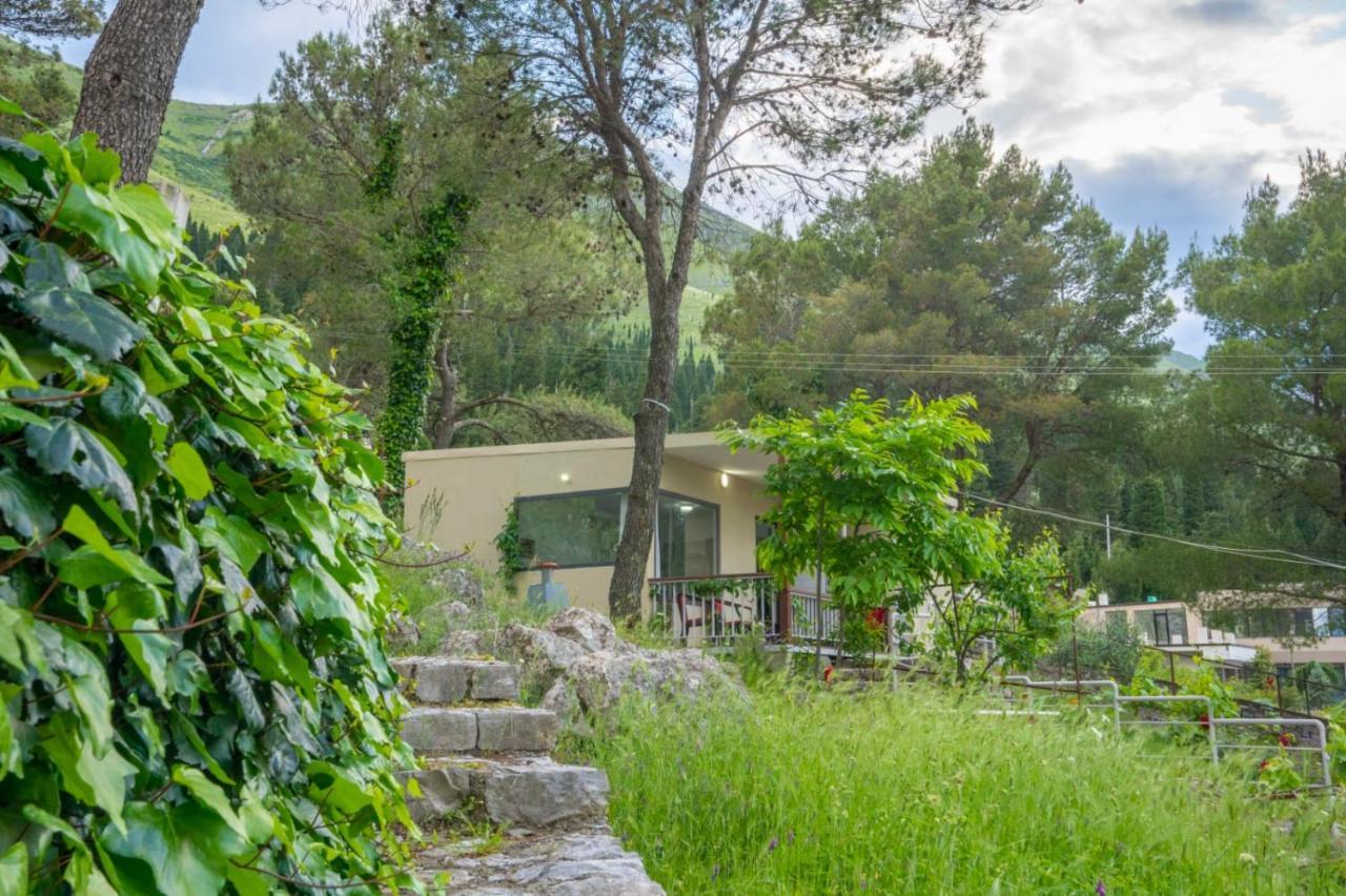 Villa Among The Trees Široka Esterno foto